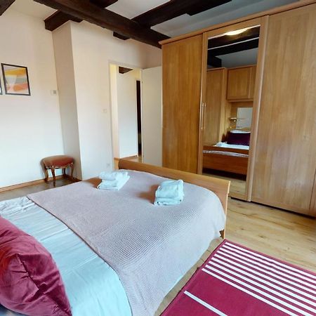 Aux Bijoux De Colmar - Le Saphir - 1 Parking Gratuit Apartment Exterior photo